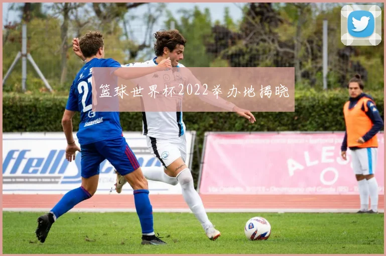 篮球世界杯2022举办地揭晓