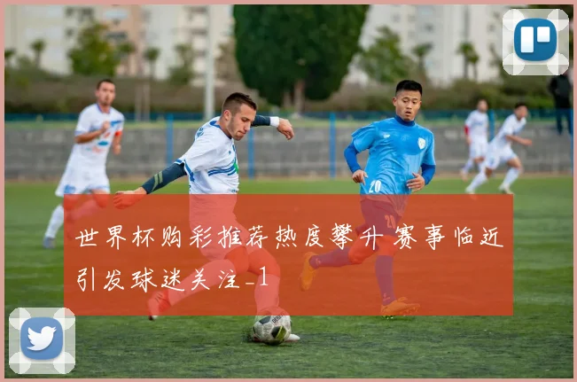 世界杯购彩推荐热度攀升 赛事临近引发球迷关注_1