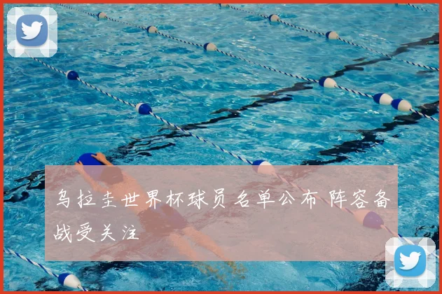 乌拉圭世界杯球员名单公布 阵容备战受关注