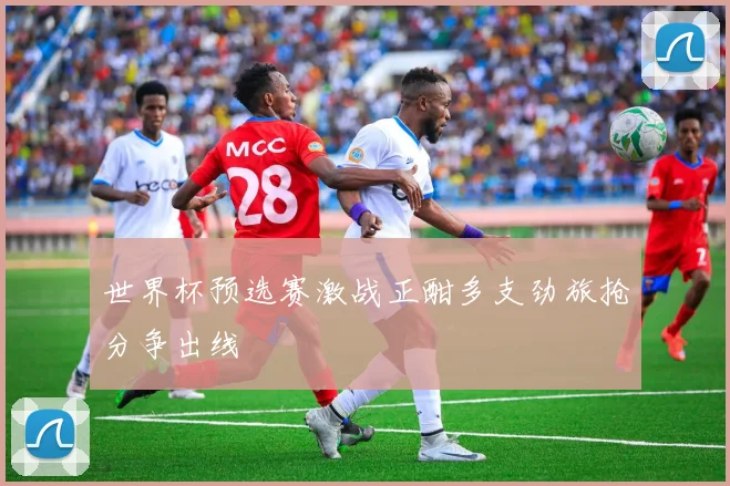 世界杯预选赛激战正酣多支劲旅抢分争出线