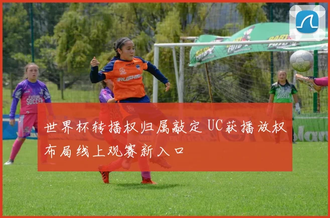 世界杯转播权归属敲定 UC获播放权布局线上观赛新入口